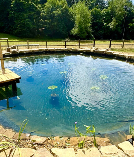 after-adddwater