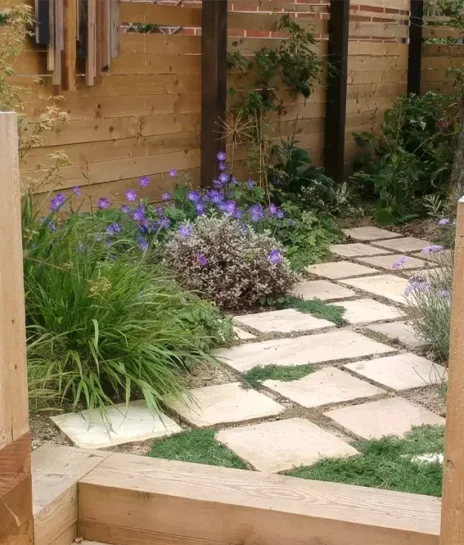 after-planting