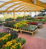 MNB-Designs-at-Hillier-Garden-Centre-Liss-001.optimised