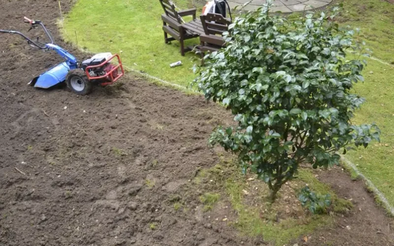 Low-Maintenance-Seasonal-Planting-Medstead-Hampshire-MNB-Designs-07.optimised