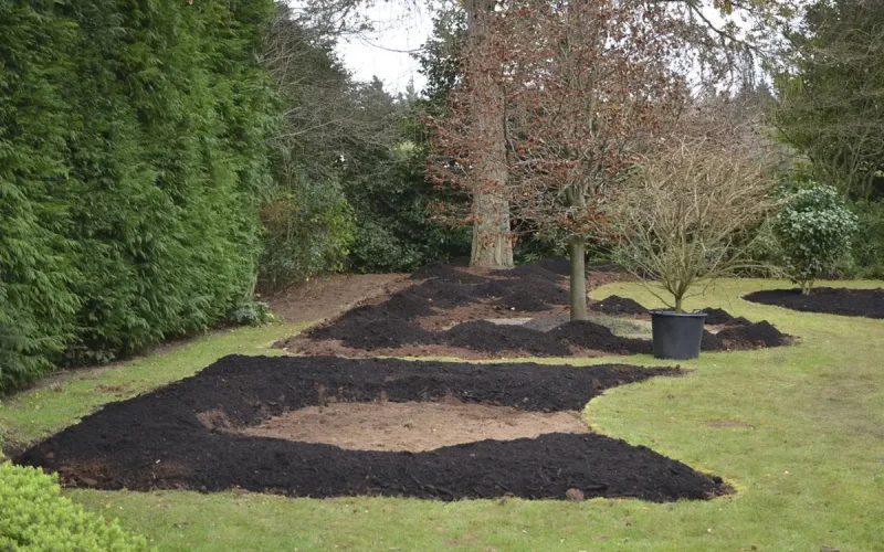 Low-Maintenance-Seasonal-Planting-Medstead-Hampshire-MNB-Designs-10.optimised
