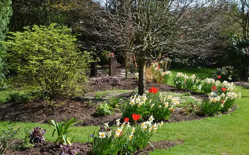 Low-Maintenance-Seasonal-Planting-Medstead-Hampshire-MNB-Designs-12.optimised