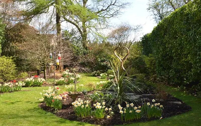Low-Maintenance-Seasonal-Planting-Medstead-Hampshire-MNB-Designs-13.optimised