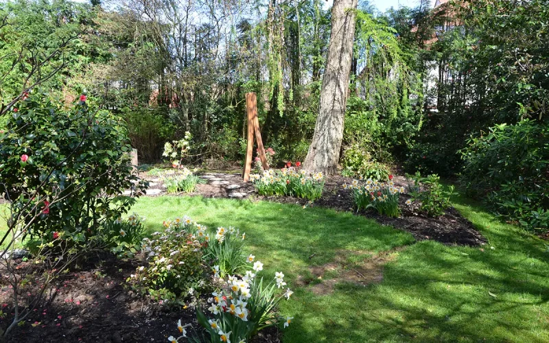 Low-Maintenance-Seasonal-Planting-Medstead-Hampshire-MNB-Designs-16.optimised