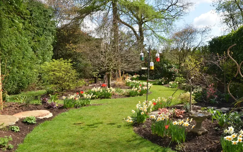 Low-Maintenance-Seasonal-Planting-Medstead-Hampshire-MNB-Designs-18.optimised