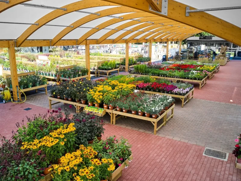 MNB-Designs-at-Hillier-Garden-Centre-Liss-001.optimised