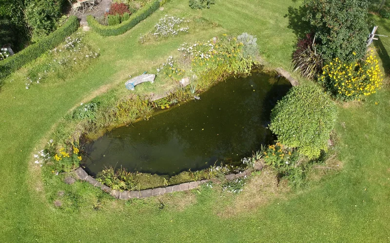 Recreational-Garden-Pond-Conversion-01-MNB-Designs-and-Landscaping.optimised