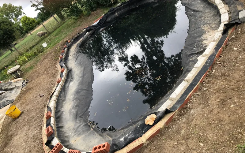 Recreational-Garden-Pond-Conversion-06-MNB-Designs-and-Landscaping.optimised
