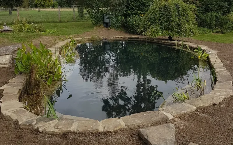 Recreational-Garden-Pond-Conversion-11-MNB-Designs-and-Landscaping.optimised