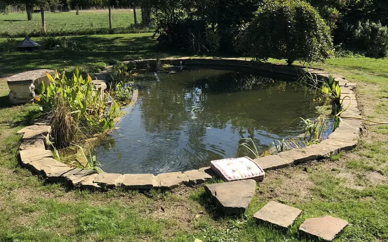 Recreational-Garden-Pond-Conversion-12-MNB-Designs-and-Landscaping.optimised