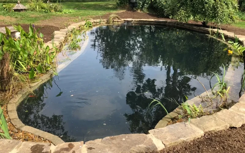 Recreational-Garden-Pond-Conversion-13-MNB-Designs-and-Landscaping.optimised
