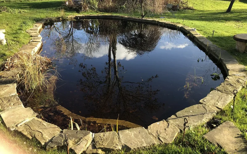 Recreational-Garden-Pond-Conversion-15-MNB-Designs-and-Landscaping.optimised