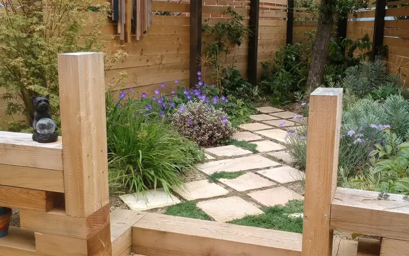 garden-design-and-planting-four-marks-MNB-Designs-01.optimised
