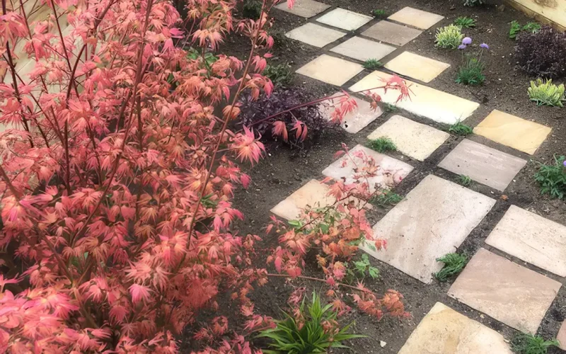 garden-design-and-planting-four-marks-MNB-Designs-02.optimised